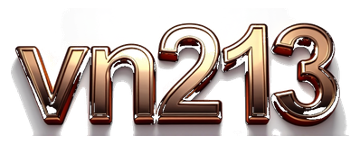 vn213 logo